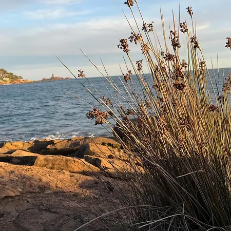 Les Pins 빌라 *